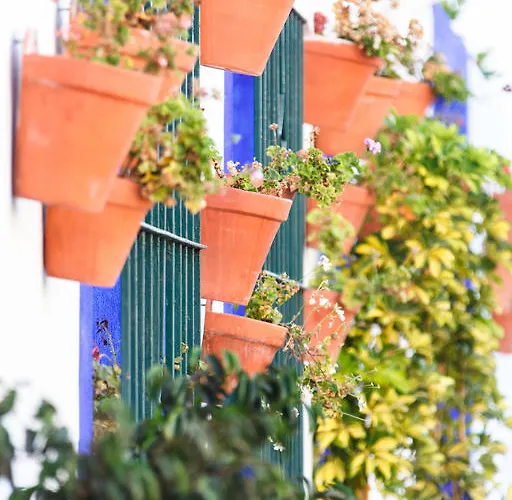 Sechi Marbella - Self Service