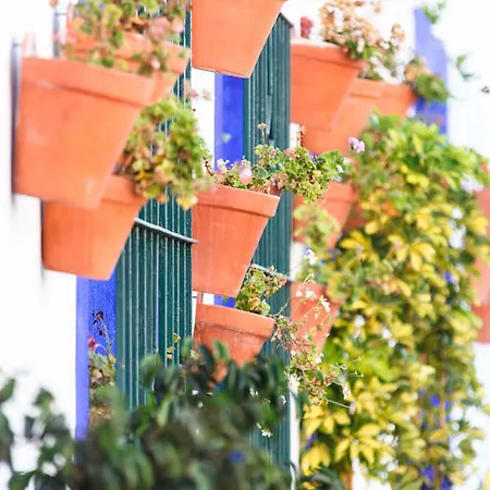 Sechi Marbella - Self Service